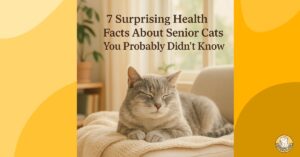 7 Surprising Health Facts About Senior Cats You Probably Didn’t Know