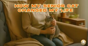 How My Senior Cat Changed My Life